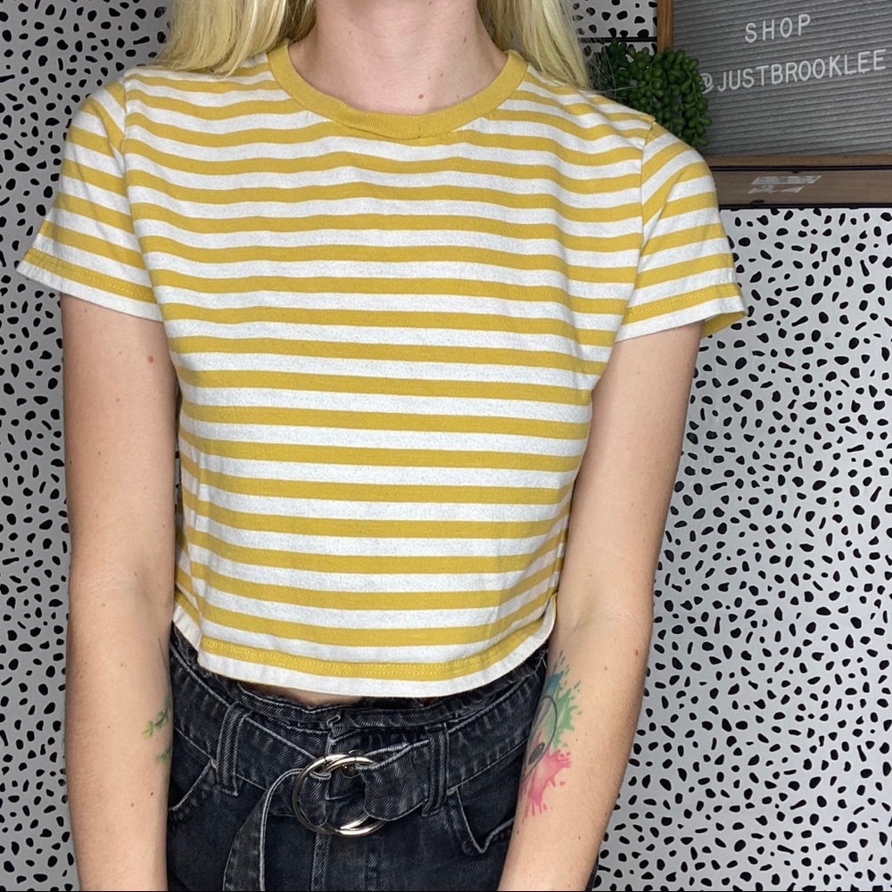 Brandy Melville Striped Crop Top Tee Shirt One Size